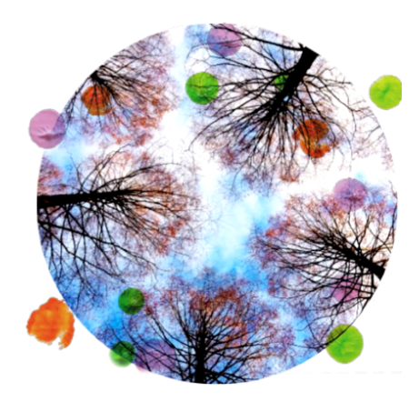 TanzDerFreude_Online_Community_Baueme450